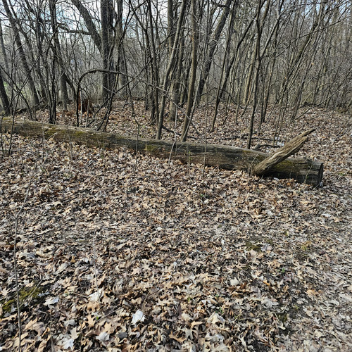 Community Service 2024 03 21 24 (68).jpg