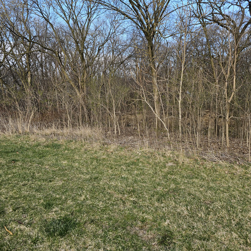 Community Service 2024 03 21 24 (49).jpg
