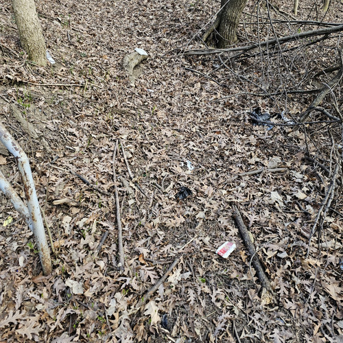 Community Service 2024 03 21 24 (61).jpg