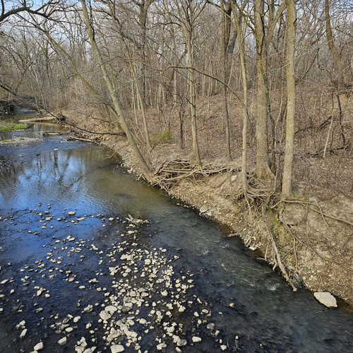 Community Service 2024 03 21 24 (55).jpg
