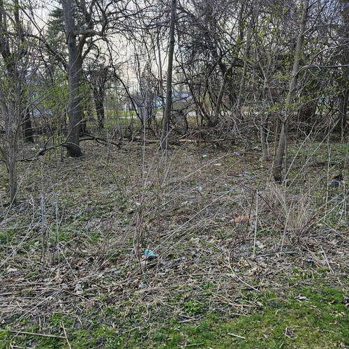 Community Service 2024 03 21 24 (39).jpg
