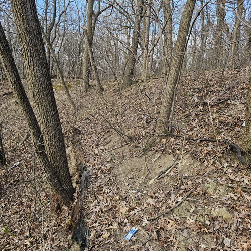 Community Service 2024 03 21 24 (64).jpg