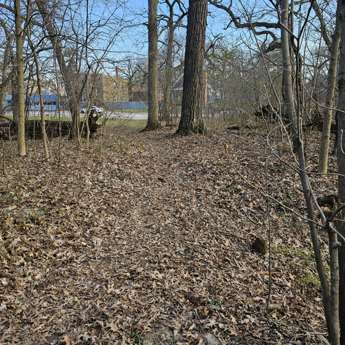 Community Service 2024 03 21 24 (65).jpg