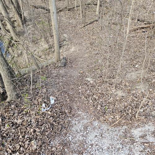 Community Service 2024 03 21 24 (56).jpg