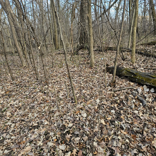 Community Service 2024 03 21 24 (72).jpg