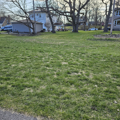 Community Service 2024 03 21 24 (43).jpg