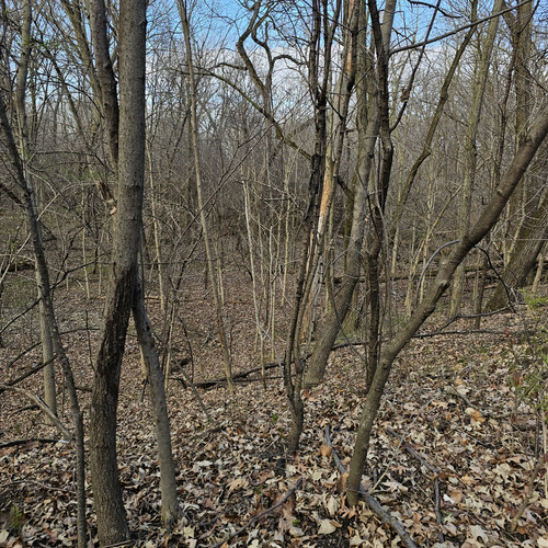 Community Service 2024 03 21 24 (71).jpg