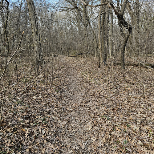 Community Service 2024 03 21 24 (66).jpg