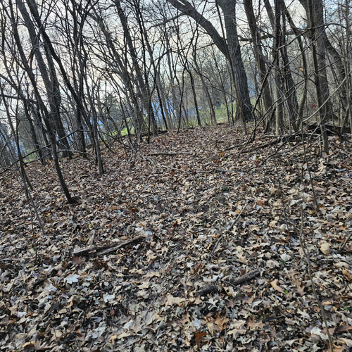 Community Service 2024 03 21 24 (83).jpg