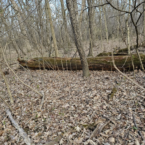 Community Service 2024 03 21 24 (76).jpg
