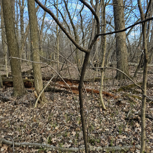 Community Service 2024 03 21 24 (74).jpg