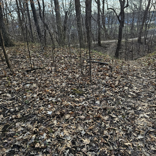 Community Service 2024 03 21 24 (85).jpg