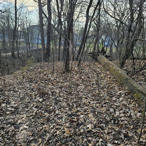 Community Service 2024 03 21 24 (86).jpg