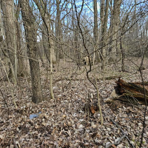 Community Service 2024 03 21 24 (77).jpg