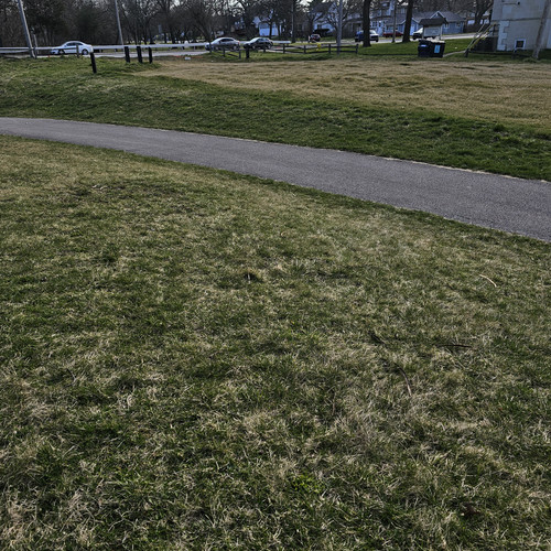 Community Service 2024 03 21 24 (91).jpg