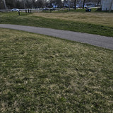 Community Service 2024 03 21 24 (91)