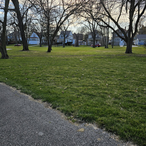 Community Service 2024 03 21 24 (115).jpg