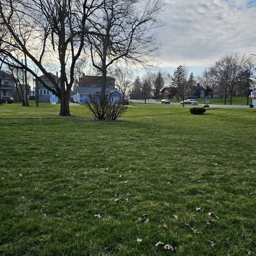 Community Service 2024 03 21 24 (116).jpg