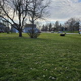 Community Service 2024 03 21 24 (116)