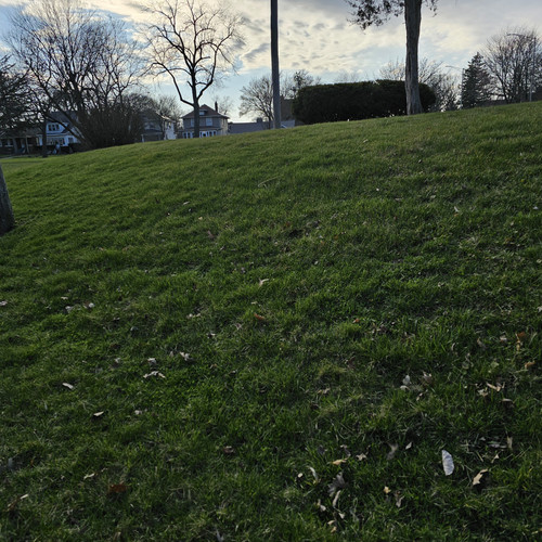 Community Service 2024 03 21 24 (108).jpg