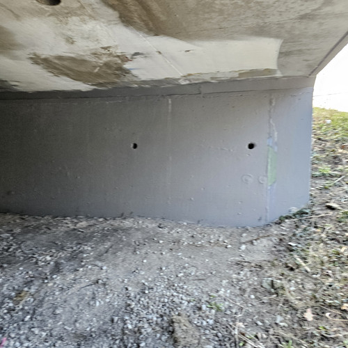 Community Service 2024 03 21 24 (103).jpg