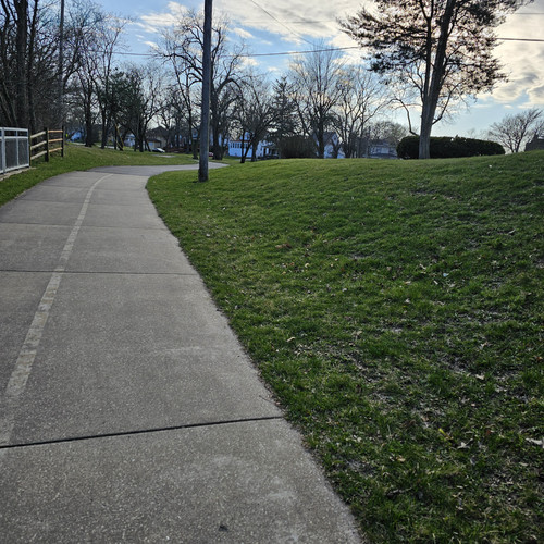 Community Service 2024 03 21 24 (107).jpg