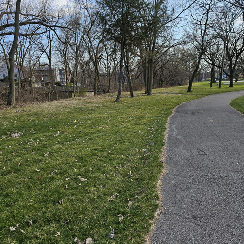 Community Service 2024 03 21 24 (113).jpg