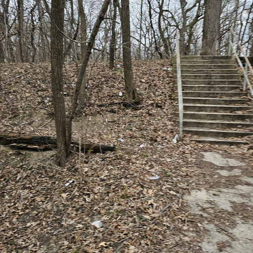 Community Service 2024 03 21 24 (11).jpg