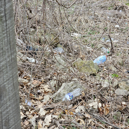 Community Service 2024 03 21 24 (24).jpg