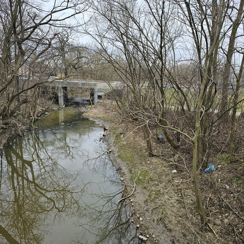Community Service 2024 03 21 24 (16).jpg