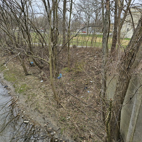 Community Service 2024 03 21 24 (17).jpg