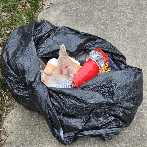 Community Service 2024 03 21 24 (25).jpg