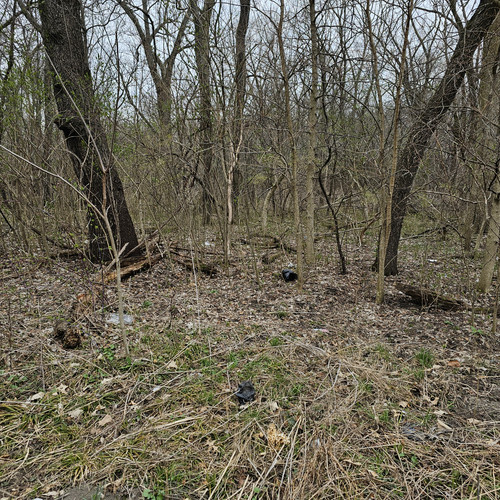 Community Service 2024 03 21 24 (6).jpg