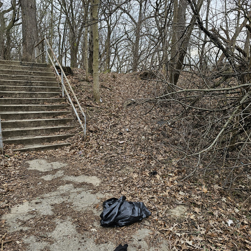 Community Service 2024 03 21 24 (12).jpg