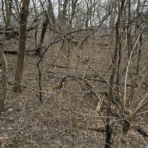 Community Service 2024 03 21 24 (13).jpg