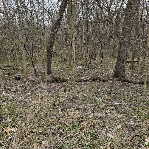 Community Service 2024 03 21 24 (5).jpg