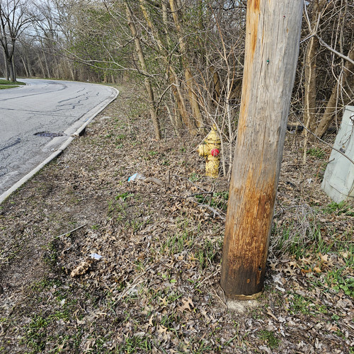 Community Service 2024 03 21 24 (33).jpg