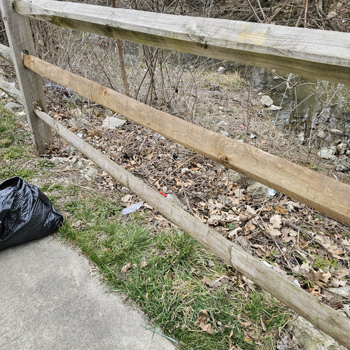 Community Service 2024 03 21 24 (21).jpg