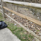 Community Service 2024 03 21 24 (21)