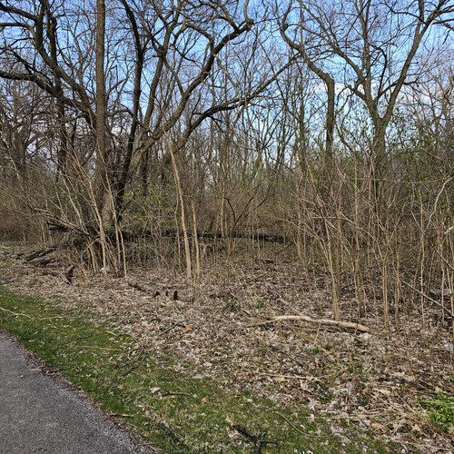 Community Service 2024 03 21 24 (37).jpg