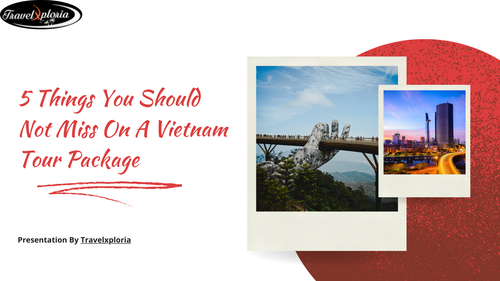 Vietnam Tour Packages You Should Not Miss.png