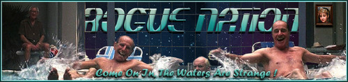 Cocoon Banner.jpg