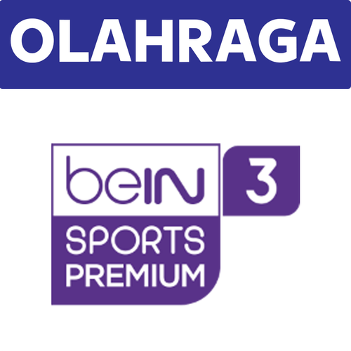 beIN Sports 3 Premium.png