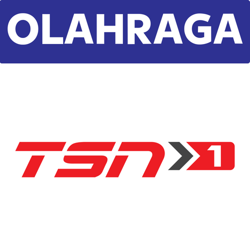 TSN 1.png