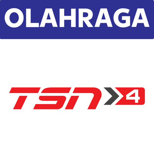 TSN 4.png