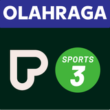 Play Sports 3