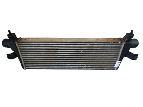 Photoroom 20240325 141502.png