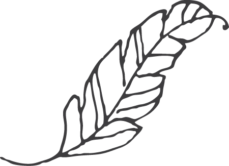 阿布素材 (29).png