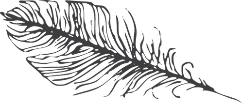 阿布素材 (12).png