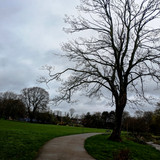 Spinney Hill Park Leicester-22nd March2024
